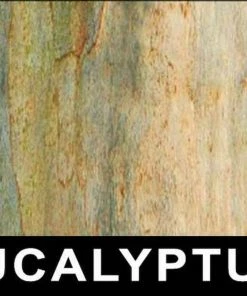 INKnBURN Eucalyptus 3-Layer Face Mask | Other 7 INKnBURN Eucalyptus 3-Layer Face Mask | Other -New Triathlete Store 3El3vnjGQl3SOQ1jP4ejzneIo