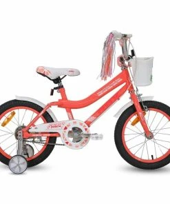 RBX 16 Inch Wheel Kid's Bicycle (with Training Wheels) | 16" Kids Bikes